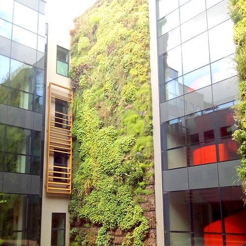 Installation de murs végétalisés sur façade d'immeuble en région de Nantes